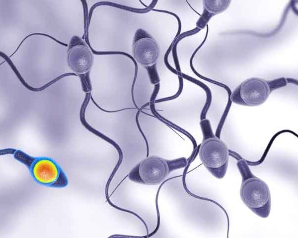 درمان تومورها و بدخیمی های بیضه