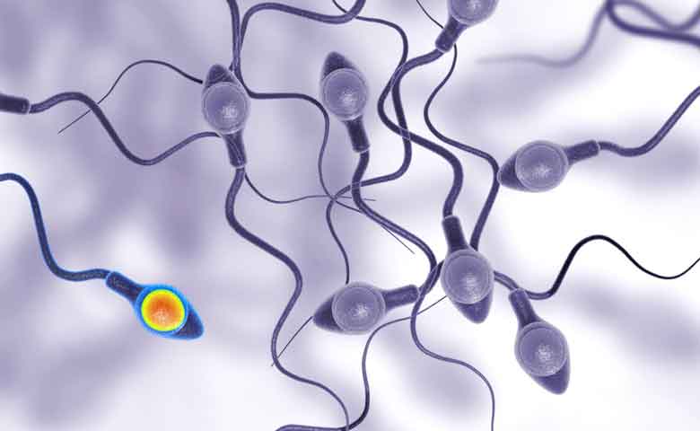 درمان تومورها و بدخیمی های بیضه