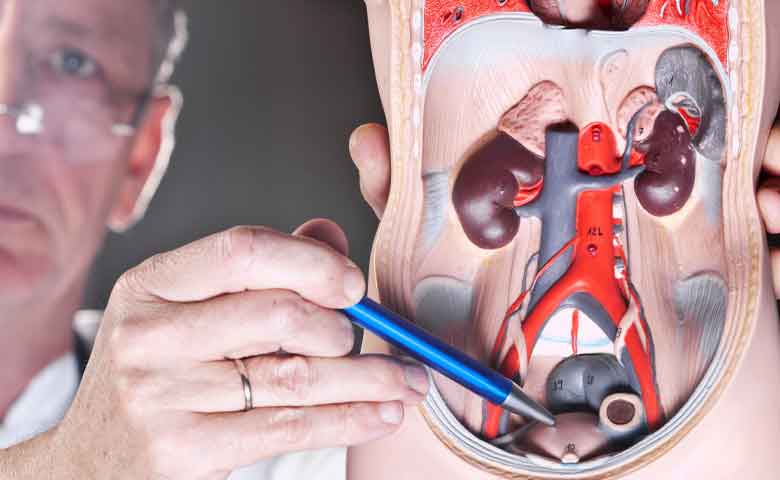 سرطان مثانه