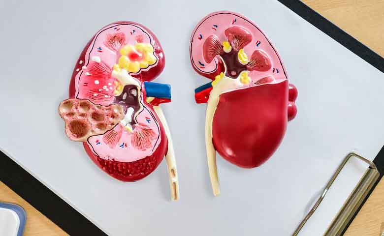 دکتر امیر حسین بشاش جراح کلیه و مجاری ادراری