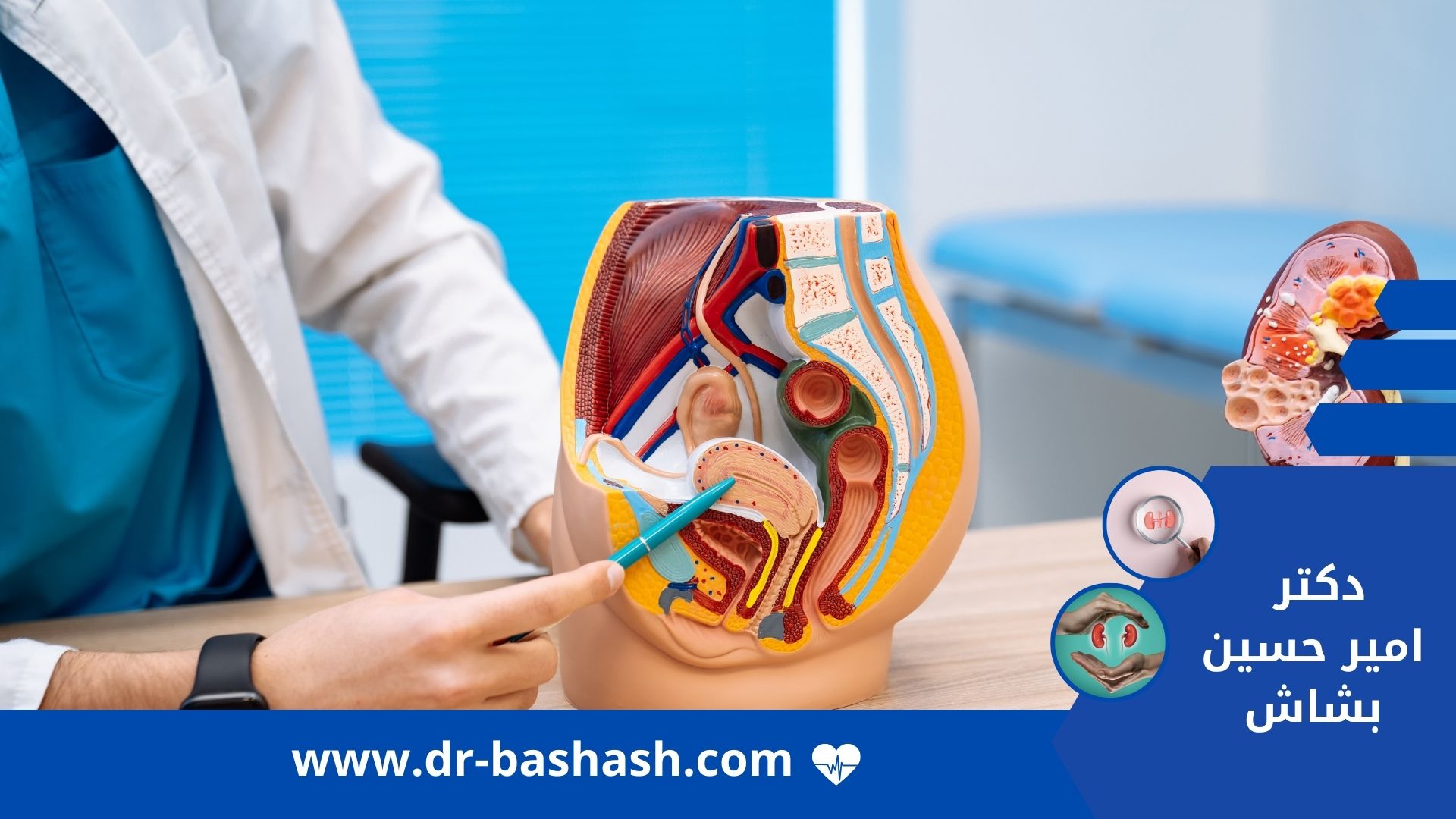 تحصیلات یک پزشک اورولوژیست