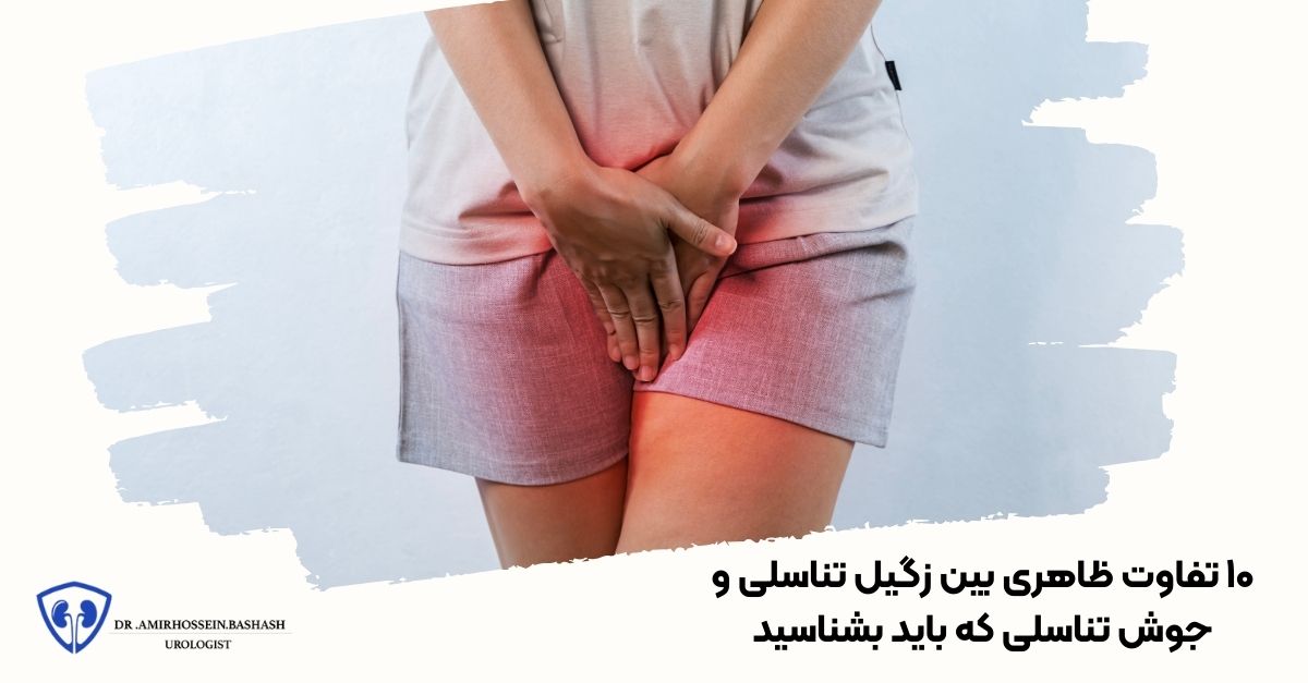 ۱۰ تفاوت ظاهری بین زگیل تناسلی و جوش تناسلی که باید بشناسید