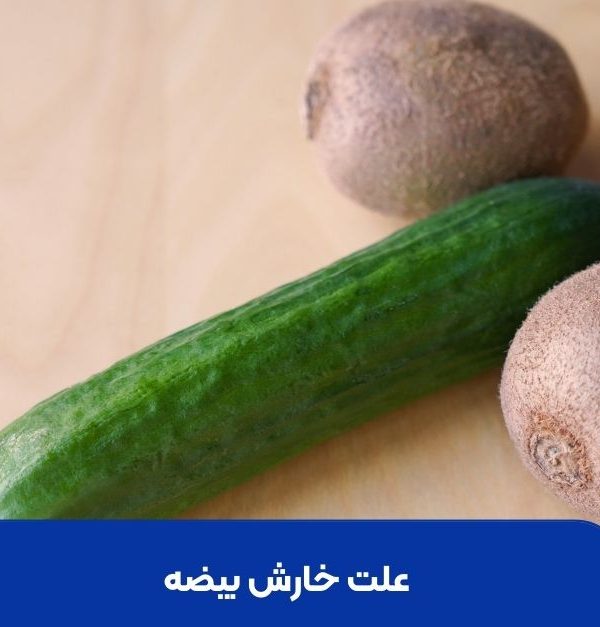 علت خارش بیضه