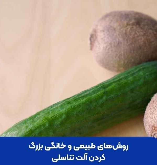 روش‌های طبیعی و خانگی بزرگ کردن آلت تناسلی