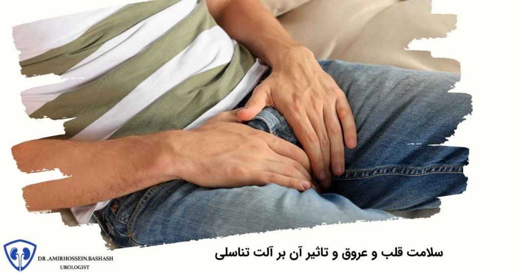 سلامت قلب و عروق و تاثیر آن بر آلت تناسلی